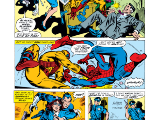 Amazing Spider-Man #174, pg. 12; pencils, Ross Andru; inks, Tony DeZuniga; Marla Madison, J. Jonah Jameson, Punisher, Hitman