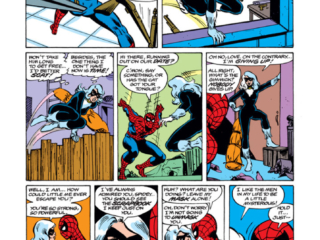 Amazing Spider-Man #194, pg. 11; pencils, Keith Pollard; inks, Frank Giacoia; first appearance Black Cat/Felecia Hardy