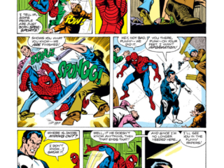 Amazing Spider-Man #202, pg. 12; pencils, Keith Pollard; inks, Jim Mooney; Punisher