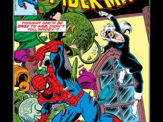 Amazing Spider-Man #204 cover; pencils, John Romita, Jr.; inks, Al Milgrom; Black Cat