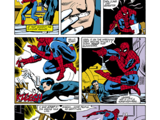 Amazing Spider-Man Annual #15, pg. 18; pencils, Frank Miller; inks, Klaus Janson; Punisher