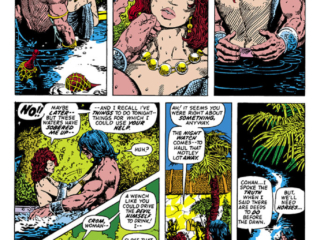 Conan the Barbarian #24, pg. 6; pencils and inks, Barry Windsor-Smith; Red Sonja