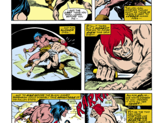Conan the Barbarian #63, pg. 13; pencils, John Buscema; inks, Steve Gan, Amra vs Conan