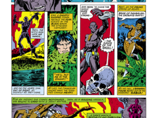 Conan the Barbarian #83, pg. 11; pencils, Howard Chaykin; inks, Ernie Chan