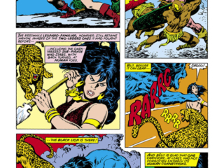 Conan the Barbarian #97, pg. 10; pencils, John Buscema; inks, Ernie Chan Conan the Barbarian #97, pg. 10; pencils, John Buscema; inks, Ernie Chan; Bêlit, leopard