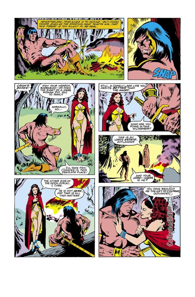 Conan the Barbarian #135, pg. 3; pencils, Marc Silvestri; inks, Joe Rubinstein; Bruce Jones, Merya
