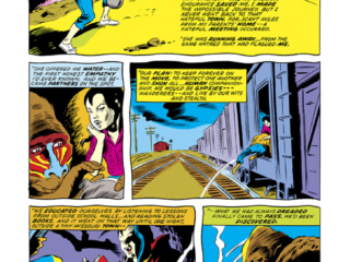 Daredevil #110, pg. 14; pencils, Gene Colan; inks, Frank Chiaramonte