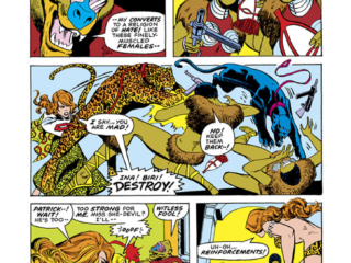 Shanna the She-Devil #4, pg. 11; pencils, Ross Andru; inks, Vince Colletta