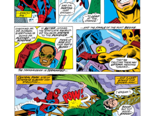 Spectacular Spider-Man #5, pg. 14; pencils, Sal Buscema; Hitman vs. Peter Parker/Vulture