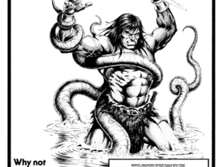 Savage Sword of Conan #42; subscription ad