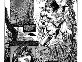 Savage Sword of Conan #47, pg. 3; pencils, Gil Kane; inks, Joe Rubinstein; The Treasure of Tranicos