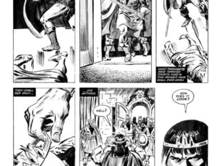 Savage Sword of Conan #52, pg. 40; pencils, John Buscema; inks, Tony DeZuniga