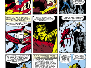 Tales to Astonish #27. "The Man in the Ant Hill!", pg. 6. Ant-Man/Hank Pym first appearance Stan Lee, Jack Kirby