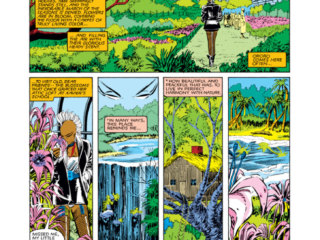 Uncanny X-Men #180, pg. 12; pencils, John Romita Jr.; inks, Dan Green, Bob Wiacek/ Storm
