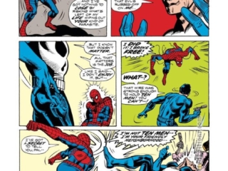 Amazing Spider-Man #129, pg. 10; pencils, Ross Andru; inks, Frank Giacoia, Dave Hunt; first appearance of the Punisher, Frank Castle, Jackal