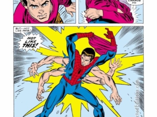 Amazing Spider-Man #100, pg. 19; pencils, Gil Kane; inks, Frank Giacoia, six-armed Spidey, Peter Parker
