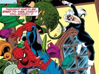 Amazing Spider-Man #204 cover; pencils, John Romita, Jr.; Black Cat