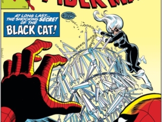 Amazing Spider-Man #205 cover; pencils and inks, Al Milgrom; Black Cat/Felecia Hardy