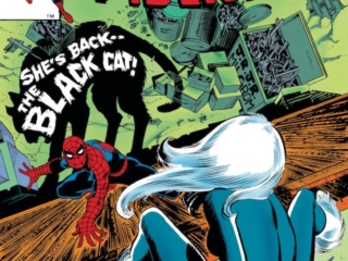 Amazing Spider-Man #226 cover; pencils, John Romita Jr.; Black Cat