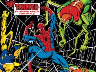 Amazing Spider-Man Annual #11 cover; pencils, Gil Kane