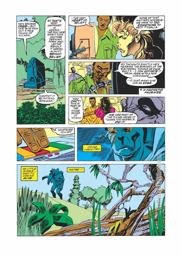 Black Panther #4, pg. 11; pencils, Denys Cowan; inks, Sam DeLarosa; Wakanda, T&#039;Challa, battle with the Panther spirit, the Man-Cat