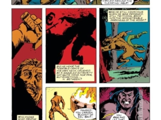 Conan the Barbarian #224, pg. 13; pencils, Geoff Senior; inks, Steve Buccellato; Gavrilo; Faheed