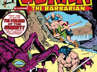Conan the Barbarian #88 cover; pencils, John Buscema; inks, Ernie Chan Conan the Barbarian #88 cover; pencils, John Buscema; inks, Ernie Chan