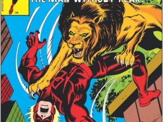 Daredevil #143 cover; pencils, Gil Kane; inks, Frank Giacoia