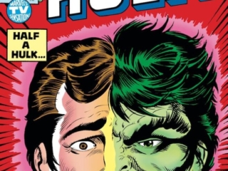 Incredible Hulk #241 cover; pencils and inks, Al Milgrom; Half a Hulk is Better Than None, Bruce Banner, Bill Bixby, Marvel's TV Sensation