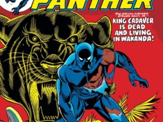 Jungle Action #10 cover; pencils, Gil Kane; inks, Frank Giacoia; King Cadaver, Black Panther