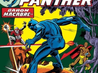 Jungle Action #11 cover; pencils, Gil Kane; inks, Dan Adkins, Lord Karnaj, Black Panther, Baron Macabre