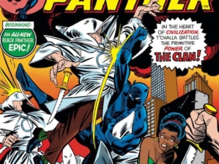 Jungle Action #19 cover; pencils, Gil Kane; inks, Dan Adkins; The Clan vs. T'Challa, Black Panther