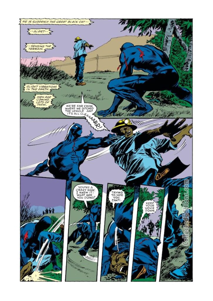 Marvel Comics Presents #18. Black Panther in “Naked Exposures”, pg. 5; pencils, Gene Colan; inks, Tom Palmer; Zanti, Don McGregor, Marvel Masterworks