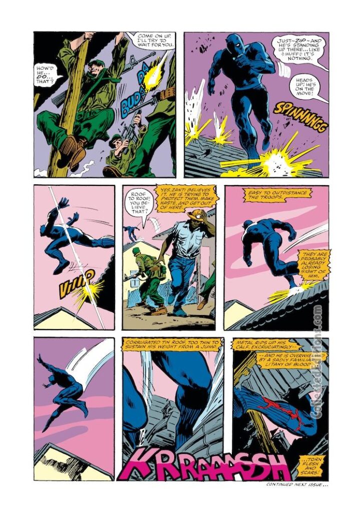 Marvel Comics Presents #22. Black Panther in “Personal Risk”, pg. 8; pencils, Gene Colan; inks, Tom Palmer, Zanti, apartheid