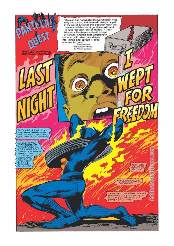 Marvel Comics Presents #27, pg. 9; pencils, Gene Colan; inks, Tom Palmer; Don McGregor, Last Night I Wept for Freedom, Black Panther&#039; The Human Comedy, William Saroyan