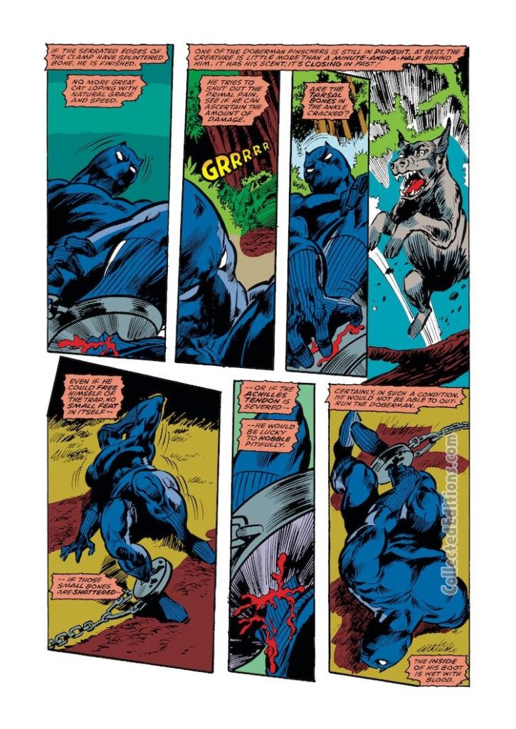 Marvel Comics Presents #36. Black Panther in “Opponents”, pg. 2; pencils, Gene Colan; inks, Tom Palmer