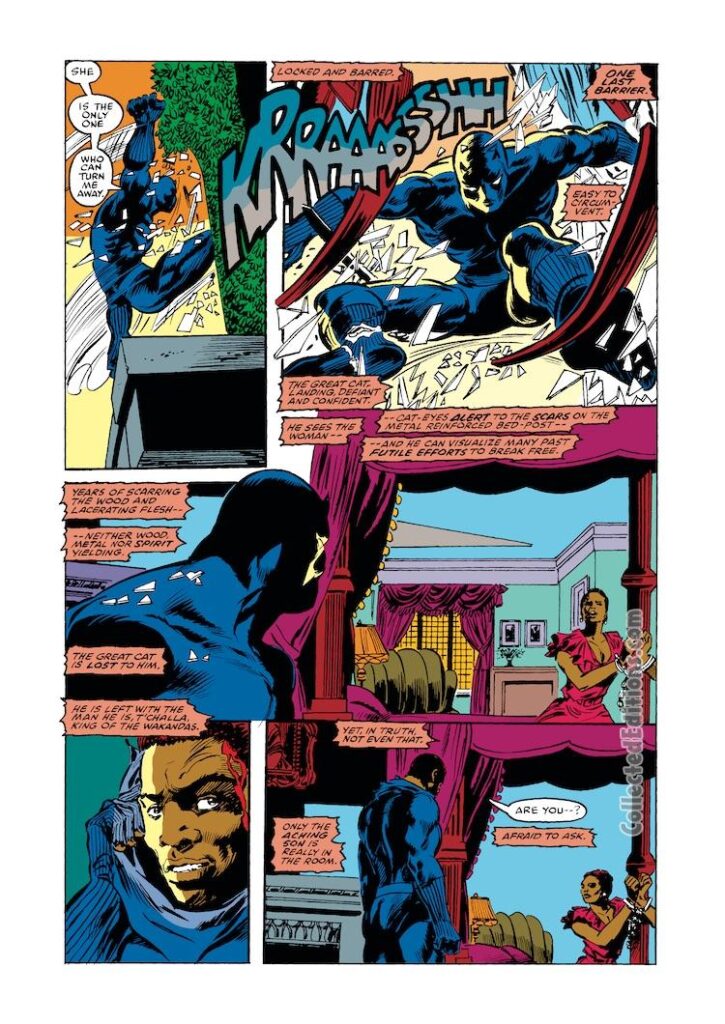 Marvel Comics Presents #37. Black Panther in “Dawn Reunion”, pg. 9; pencils, Gene Colan; inks, Tom Palmer