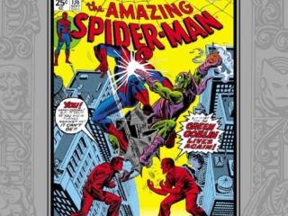 Marvel Masterworks: Amazing Spider-Man Vol. 14 HC &ndash;&nbsp;Regular Edition dustjacket cover
