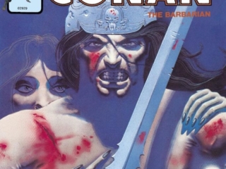 Savage Sword of Conan Omnibus Vol. 5 HC &ndash;&nbsp;Variant Edition (David Mattingly) cover