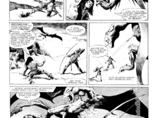 Savage Sword of Conan #74. &ldquo;Lady of the Silver Snows&rdquo;, pg. 26; pencils and inks, Val Mayerik; Astriel, Shard