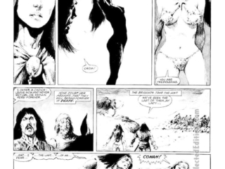 Savage Sword of Conan #74. &ldquo;Lady of the Silver Snows&rdquo;, pg. 36; pencils and inks, Val Mayerik; Astriel, Snow Queen