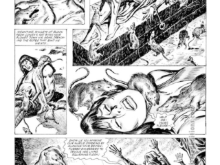 Savage Sword of Conan #95. &ldquo;Night of the Rat!&rdquo;, pg. 37; pencils, John Buscema; inks, Ernie Chan