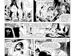 Savage Sword of Conan #100. &ldquo;The Gift&rdquo;, pg. 4; pencils, June Brigman; inks, Armando Gil; Sverre, Ygraine