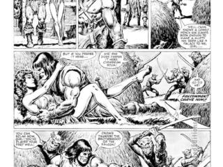 Savage Sword of Conan #104. &ldquo;The Treachery of the Gray Wolf!&rdquo;, pg. 8; pencils, Val Mayerik; inks, Ernie Chan; Arenjun, Zamora; The Brotherhood of the Falcon, King Konar, twin