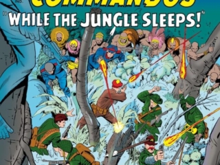 Sgt. Fury and His Howling Commandos #17 cover; pencils, Jack Kirby; inks, Vince Colletta; While the Jungle Sleeps, Nick Fury, North Africa