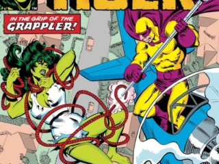 Savage She-Hulk #18 cover; pencils, Mike Vosburg; The Grappler