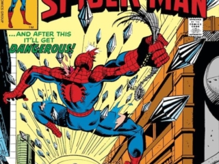 Spectacular Spider-Man #47, cover; pencils and inks, Al Milgrom; Peter Parker, Who Is The New Prowler, And After That It'll Get Dangerous, The Cat, Toys R Us Shopping Spree