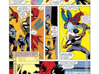 Spectacular Spider-Man #71, pg. 12; pencils, Rick Leonardi; inks, Jim Mooney; Peter Parker