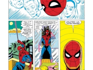 Spectacular Spider-Man #74, pg. 17; pencils, Bob Hall; inks, Jim Mooney; Peter Parker, Debra Whitman