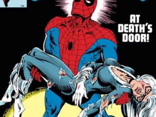 Spectacular Spider-Man #76 cover; pencils and inks, Al Milgrom; Peter Parker, At Death&rsquo;s Door, Black Cat